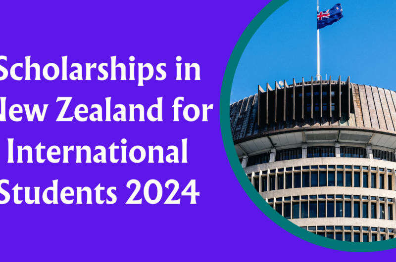 Scholarships in New Zealand for International Students 2024